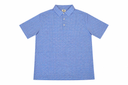 Diamond Jubilee Polo